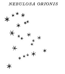 Galileo's Head of Orion cluster