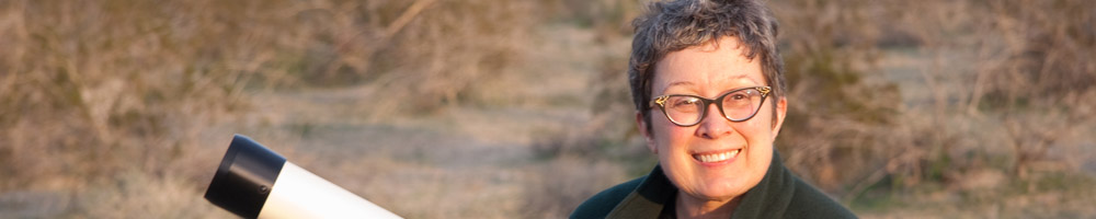 Jane's blog banner